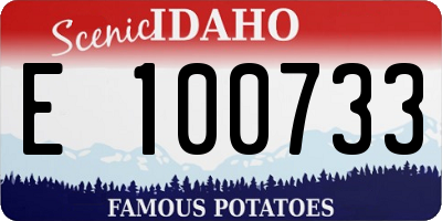 ID license plate E100733