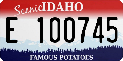 ID license plate E100745