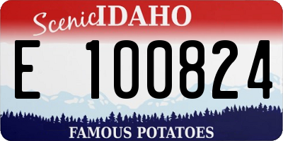 ID license plate E100824