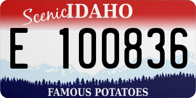 ID license plate E100836