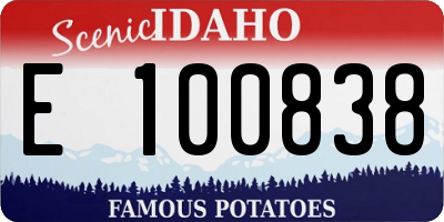 ID license plate E100838