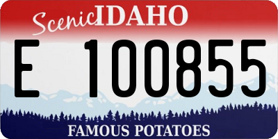 ID license plate E100855