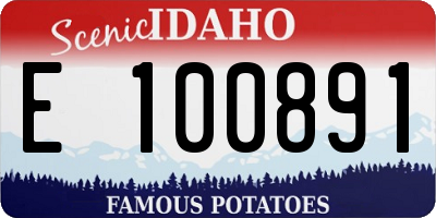 ID license plate E100891