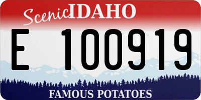 ID license plate E100919