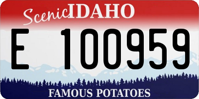 ID license plate E100959