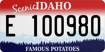 ID license plate E100980