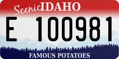 ID license plate E100981