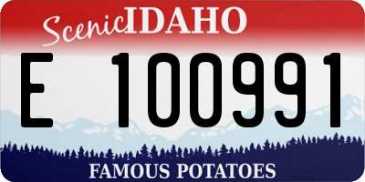ID license plate E100991