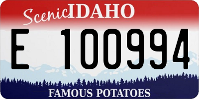 ID license plate E100994
