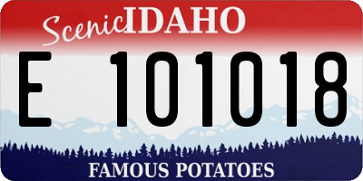 ID license plate E101018