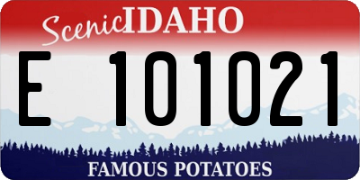 ID license plate E101021