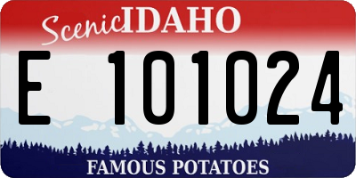 ID license plate E101024