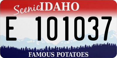 ID license plate E101037