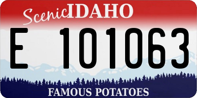 ID license plate E101063