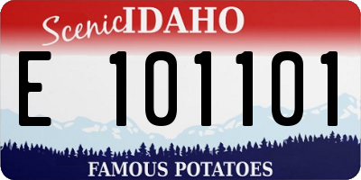 ID license plate E101101