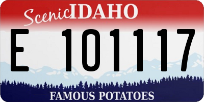 ID license plate E101117