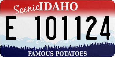 ID license plate E101124