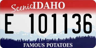 ID license plate E101136