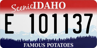 ID license plate E101137