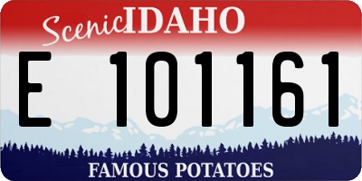 ID license plate E101161