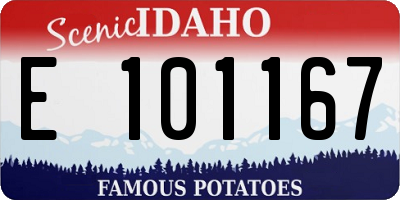 ID license plate E101167