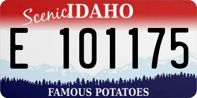 ID license plate E101175