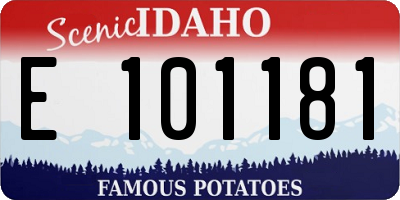 ID license plate E101181