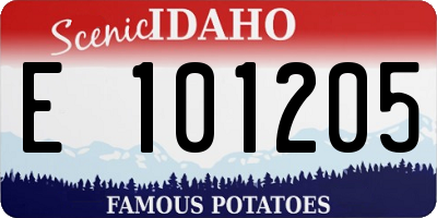 ID license plate E101205