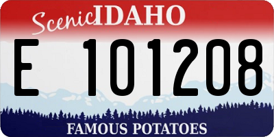ID license plate E101208