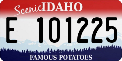ID license plate E101225
