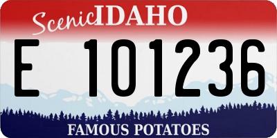 ID license plate E101236