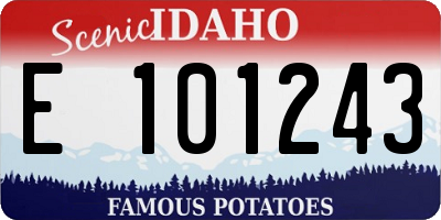 ID license plate E101243