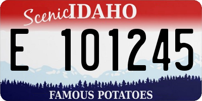 ID license plate E101245