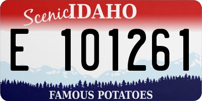 ID license plate E101261