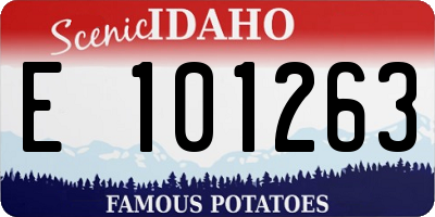 ID license plate E101263