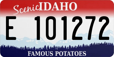 ID license plate E101272
