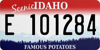 ID license plate E101284