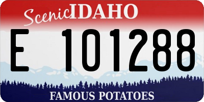 ID license plate E101288