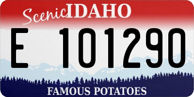 ID license plate E101290