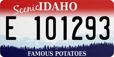 ID license plate E101293