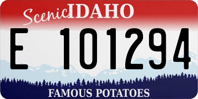 ID license plate E101294
