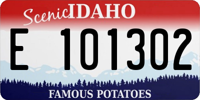 ID license plate E101302