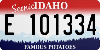 ID license plate E101334