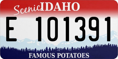 ID license plate E101391