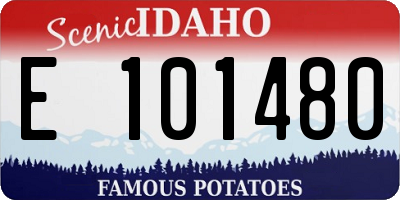 ID license plate E101480