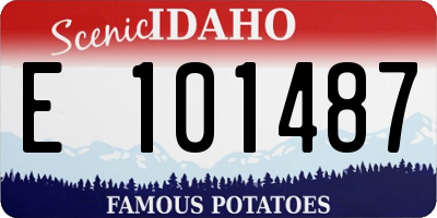 ID license plate E101487