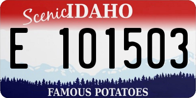 ID license plate E101503
