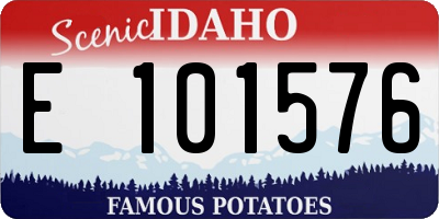 ID license plate E101576