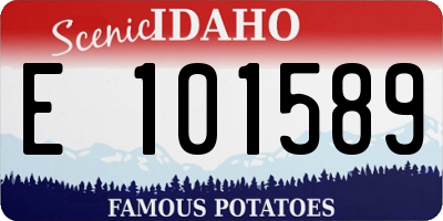 ID license plate E101589