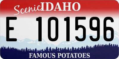 ID license plate E101596